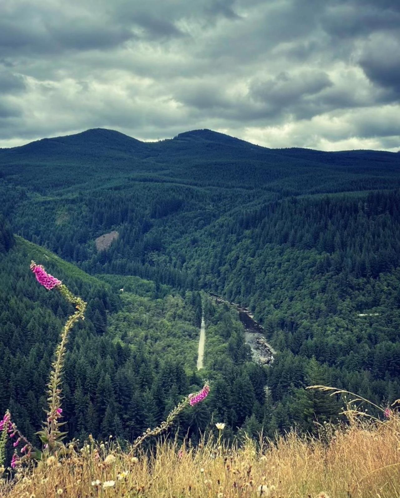 Gorgeous Gateway To The Columbia River Gorge Washougal المظهر الخارجي الصورة