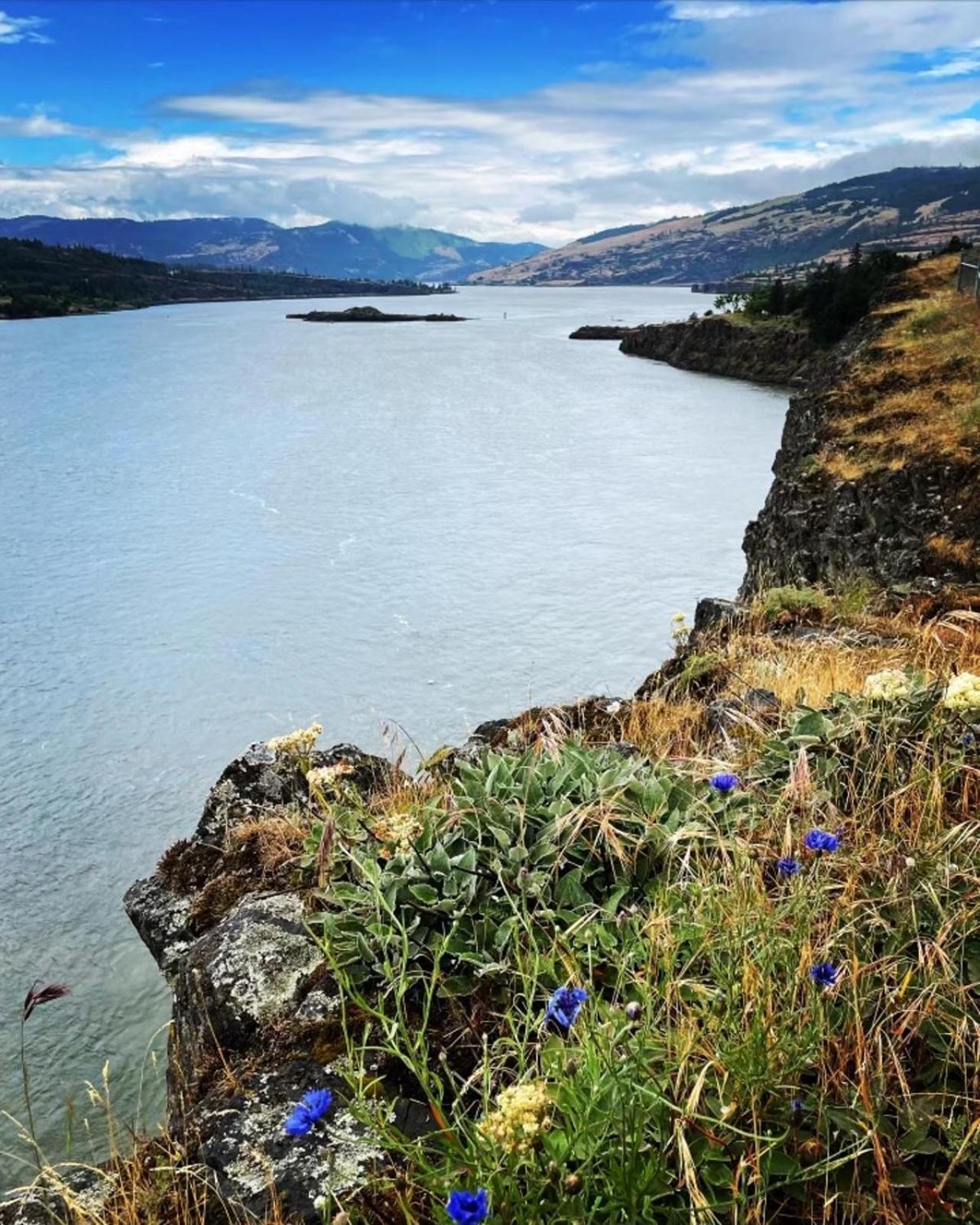 Gorgeous Gateway To The Columbia River Gorge Washougal المظهر الخارجي الصورة